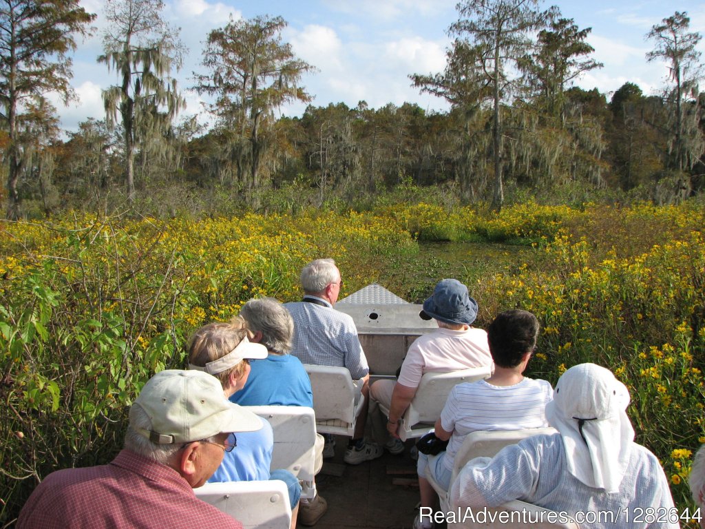 Eco-swamp tours at Cajun Country Swamp Tours | Image #12/14 | 