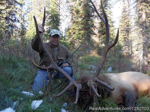 Idaho elk