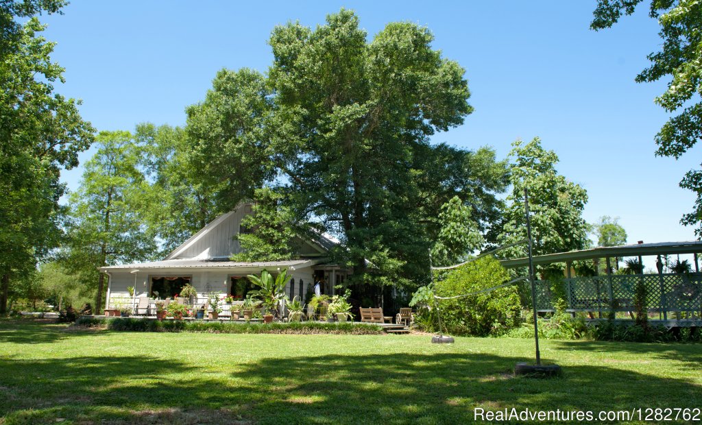 Splendor Farms B&B in Bush, Louisiana | Splendor Farms | Bush, Louisiana  | Bed & Breakfasts | Image #1/12 | 