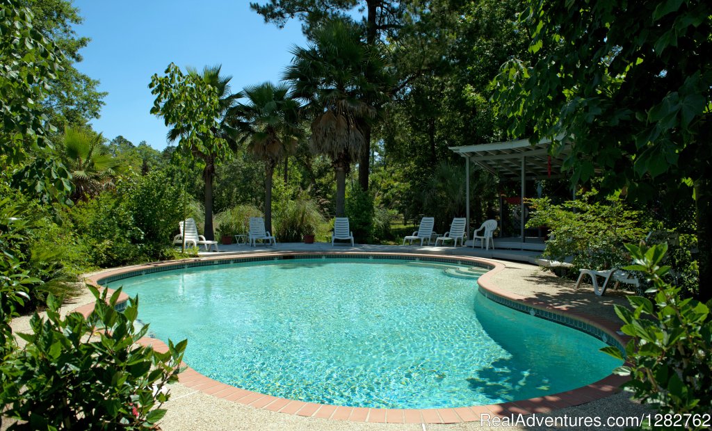 Swimming Pool | Splendor Farms | Image #2/12 | 