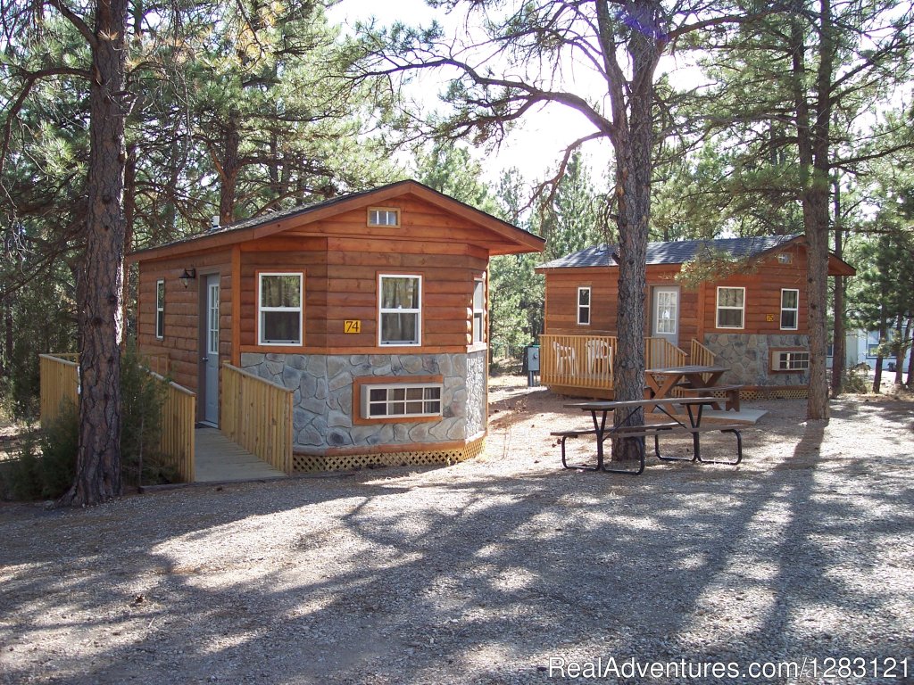 Deluxe Cabins w/ Bathrooms | Hot Springs KOA | Image #4/5 | 