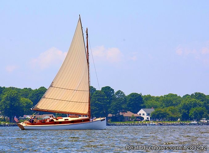 Sail Selina Ii In The Miles River | Sail Selina Ii | Image #18/24 | 