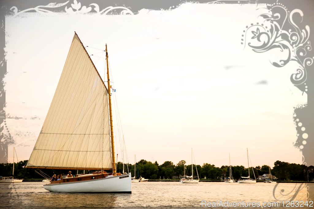 Sail Selina Ii | Image #23/24 | 