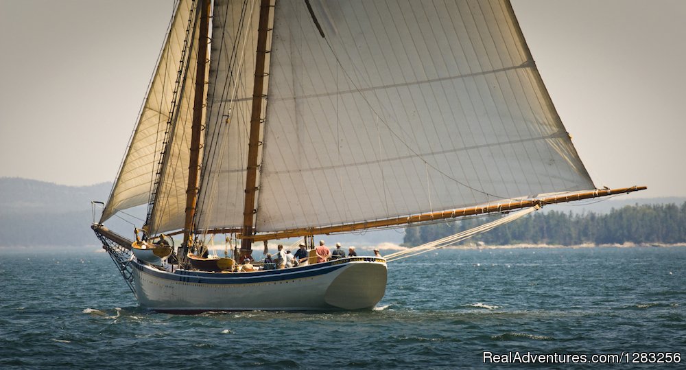 Schooner American Eagle | The Maine Windjammer Association | Rockland, Maine  | Cruises | Image #1/5 | 