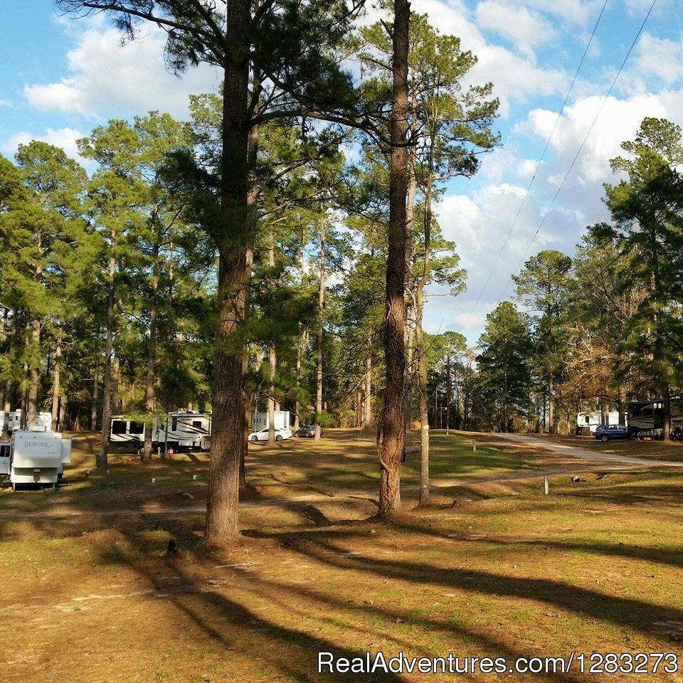 Hidden Treasure RV mid park view | Get The Best Sleep At Hidden Treasure RV Resort | Image #5/14 | 