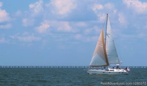 Delaune Sailing Charters