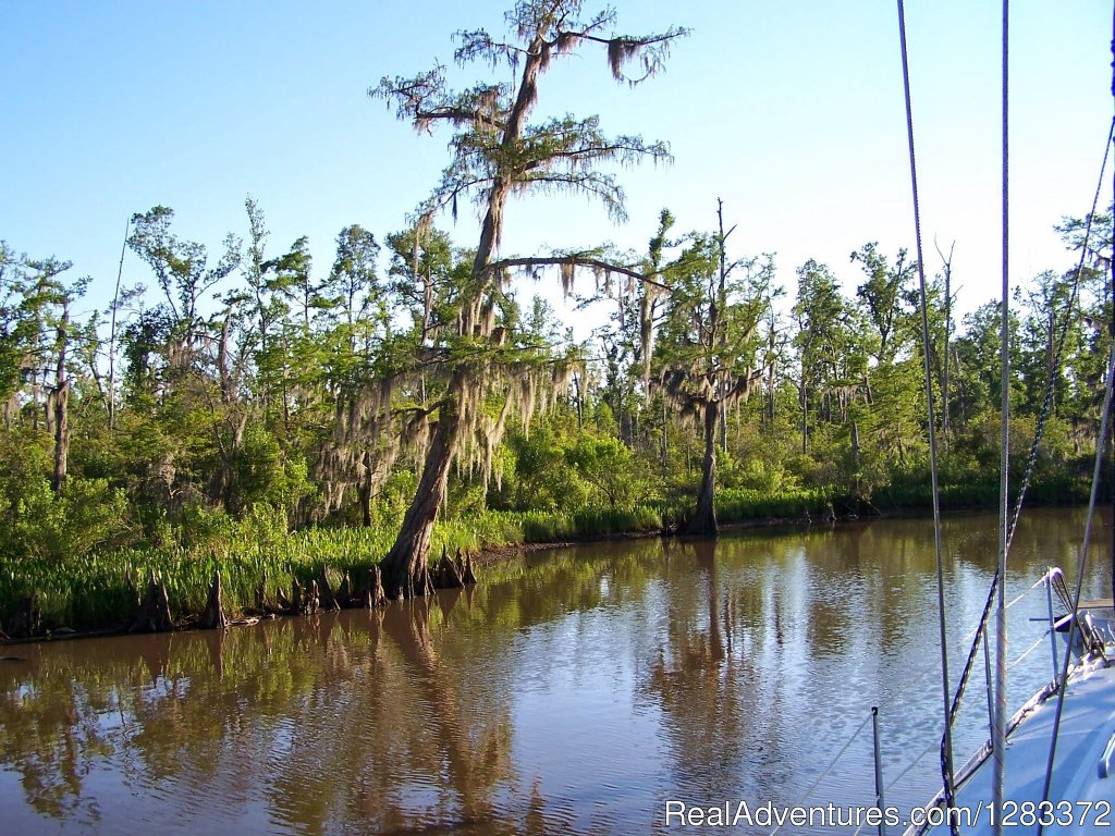 Bayou Friends | Delaune Sailing Charters | Image #2/5 | 