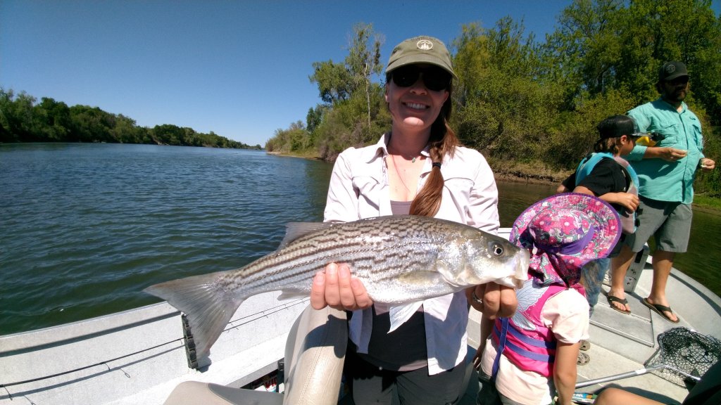 Trout Fishing On The Sacramento River | Great Steelhead & Salmon Fishing In Northern Ca | Image #4/5 | 