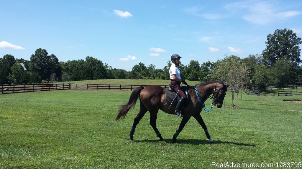 Debbie working a warmblood up and down hills | Lantern Lane Farm | Image #3/3 | 