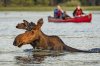 Canoe The Wild | Danforth, Maine