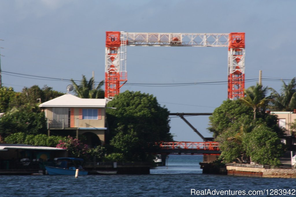 Classic Sail Charters - Puerto Rico | Image #8/8 | 