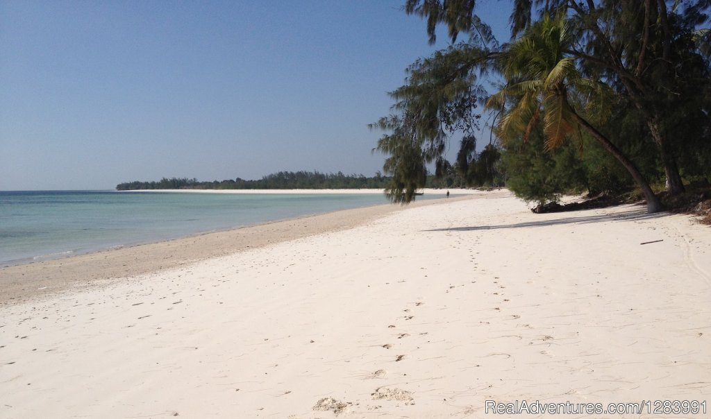 Michamvi Kae Beach | Relax in peaceful Kae Zanland | Image #9/10 | 