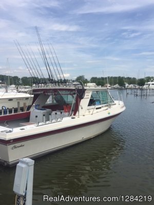 Stray Cat Fishing Charters