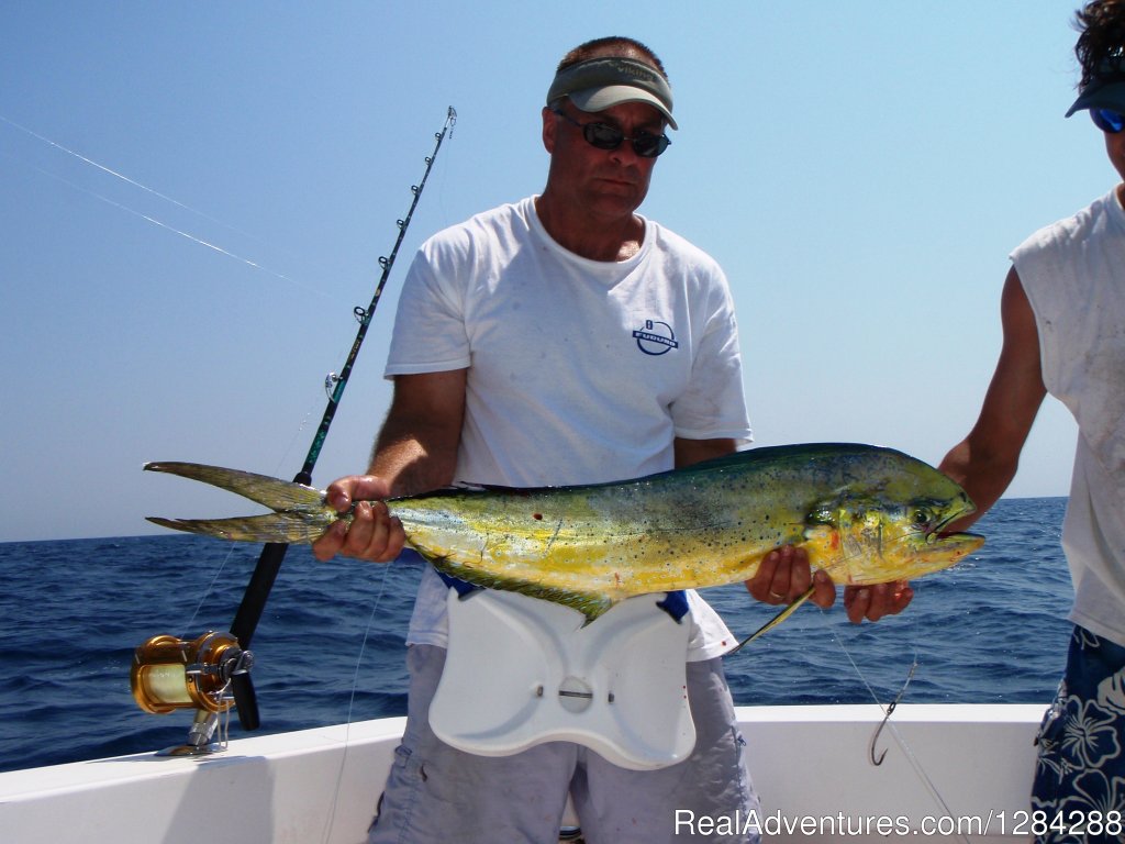 Nice Mahi Mahi | D.c. Outdoor Adventures | Image #4/26 | 