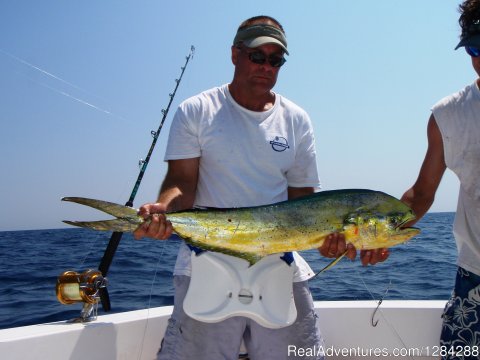 Nice Mahi Mahi