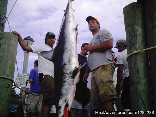 Tournament Winning Mako | D.c. Outdoor Adventures | Image #11/26 | 