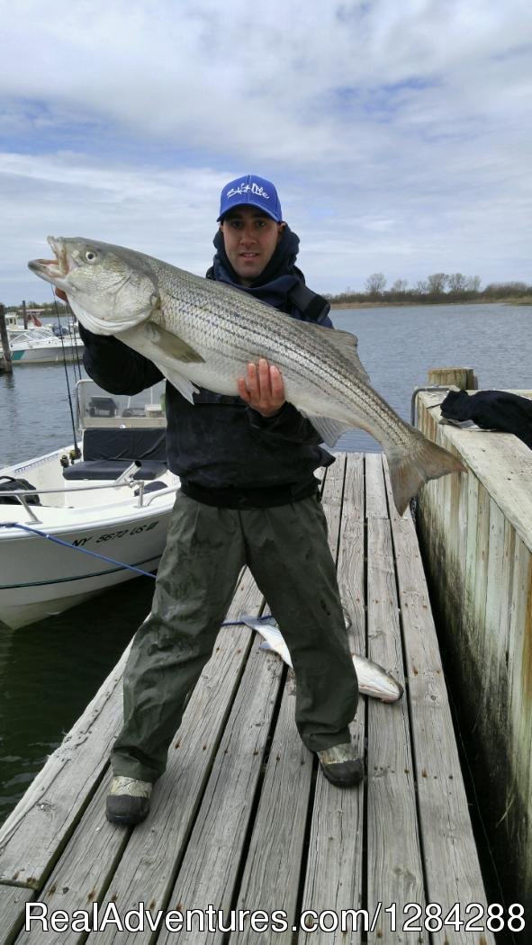 Rays Nice Striper | D.c. Outdoor Adventures | Image #14/26 | 