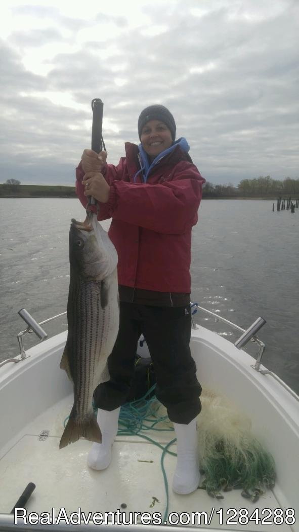 Tammys Nice Striper | D.c. Outdoor Adventures | Image #15/26 | 