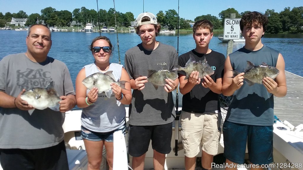 Nice Triggerfish | D.c. Outdoor Adventures | Image #24/26 | 