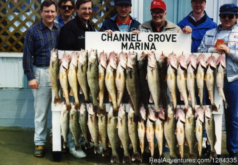 A rack of HUGE walleyes