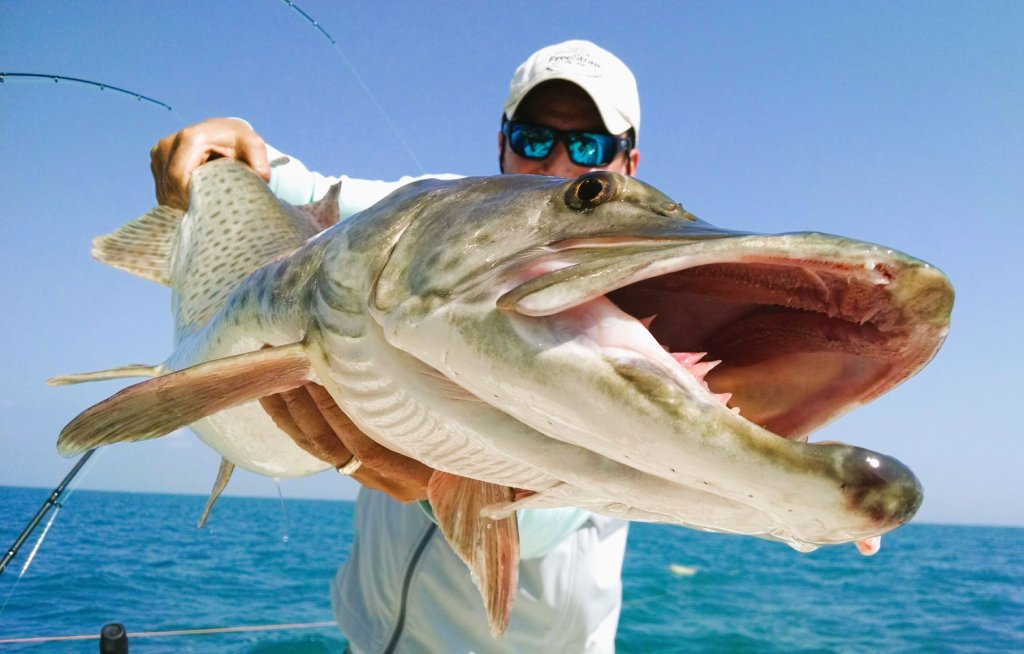 Muskie Charter | Mr. Muskie Charters | Saint Clair Shores, Michigan  | Fishing Trips | Image #1/7 | 