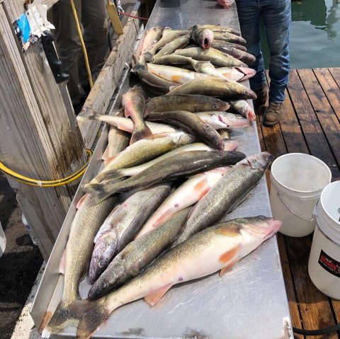 Walleye Charter