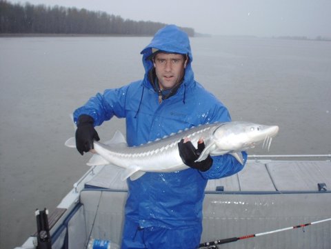 Winter Sturgeon Columbia R