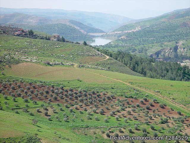 Spring in Jordan | 9 days in JORDAN | Image #9/11 | 