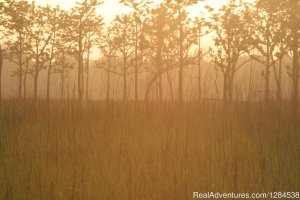 Terai Arc Landscape Adventures