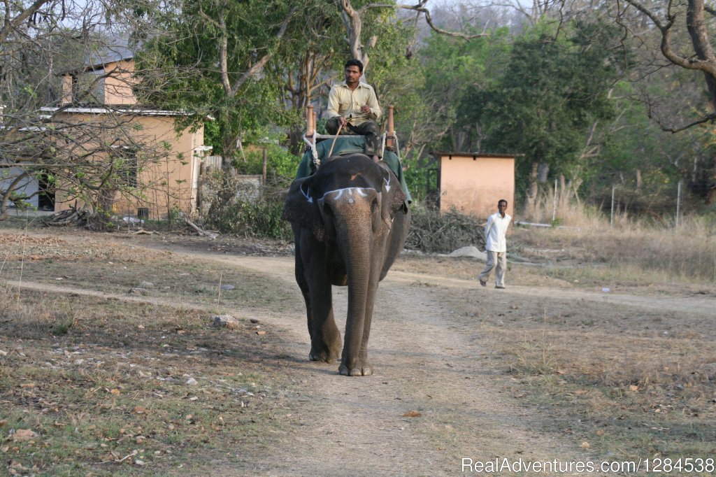 Returning Home | Terai Arc Landscape Adventures | Image #8/18 | 