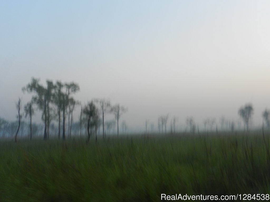 Terai Arc Landscape Adventures | Image #10/18 | 