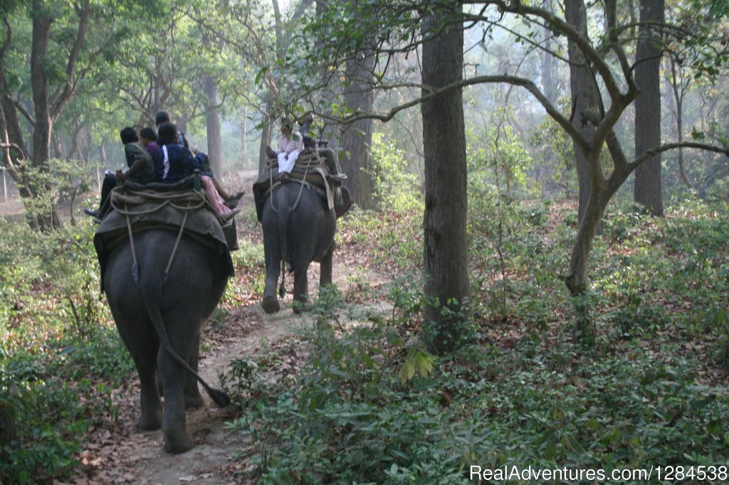 Terai Arc Landscape Adventures | Image #11/18 | 