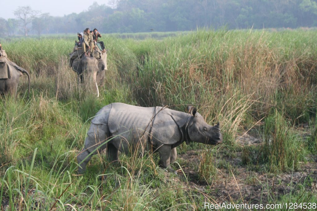 Terai Arc Landscape Adventures | Image #17/18 | 