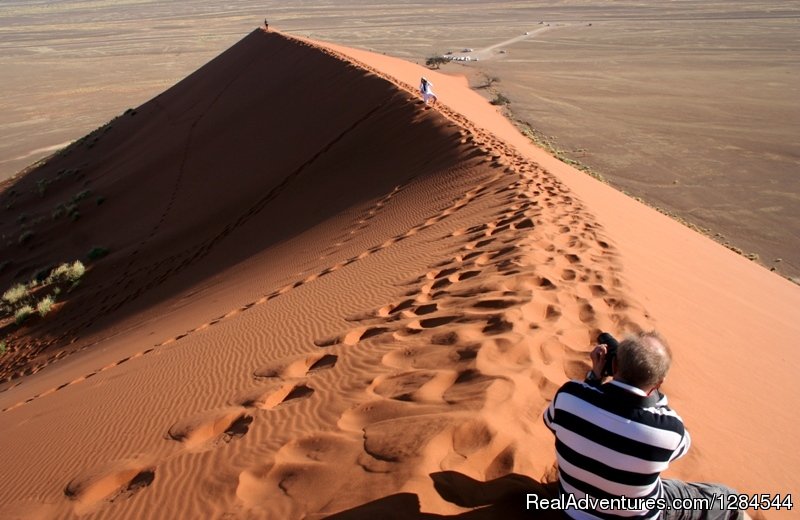 Dune 45 near Sossusvlei | Wild Wind Safaris | Windhoek, Namibia | Wildlife & Safari Tours | Image #1/26 | 