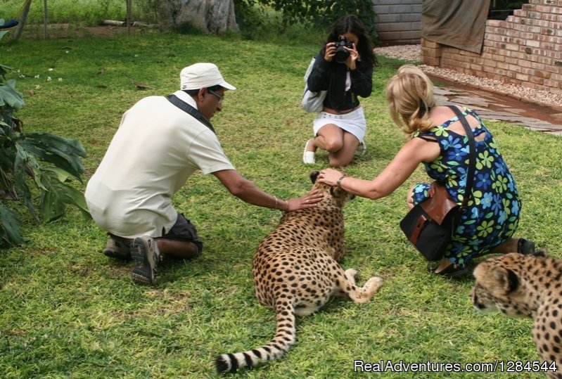 Otjitotongwe Cheetah farm | Wild Wind Safaris | Image #4/26 | 