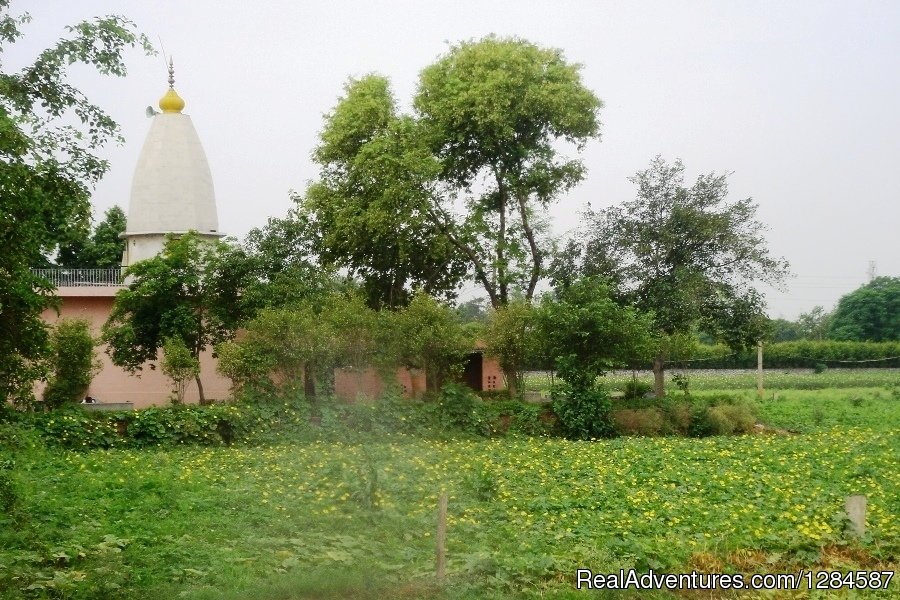 Roadside Temple | New Delhi Homestay Eco Cultural Tours | Image #24/26 | 