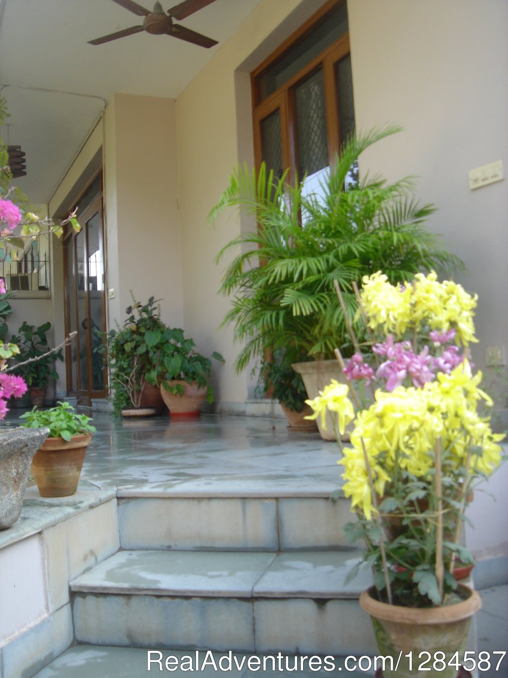 The Patio | New Delhi Homestay Eco Cultural Tours | Image #6/26 | 