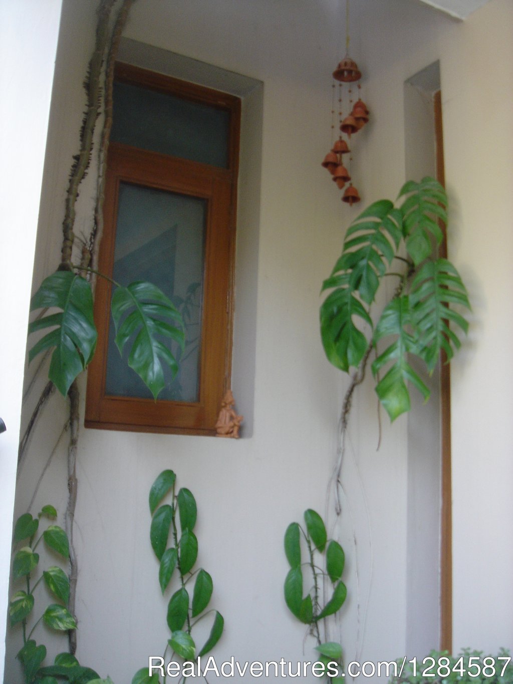 The Windchime corner | New Delhi Homestay Eco Cultural Tours | Image #7/26 | 