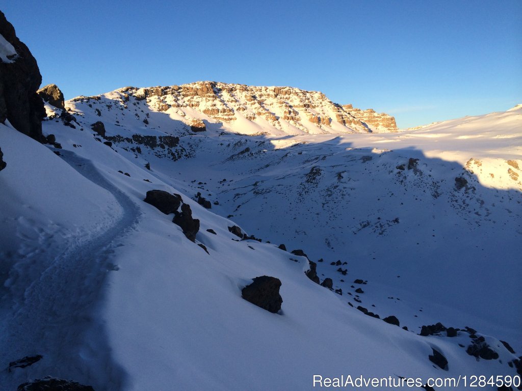 Climb Mount Kilimanjaro | Serengeti Migration Safari | Image #5/10 | 