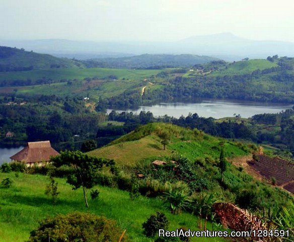 Aerial View | Kibale River Camp | Image #8/11 | 