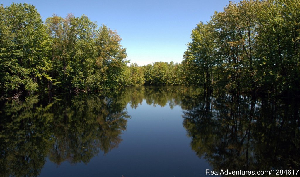 Suwannee River at it's finest | Health & Wellness Wholistic Resort | Old Town, Florida  | Health Spas & Retreats | Image #1/8 | 