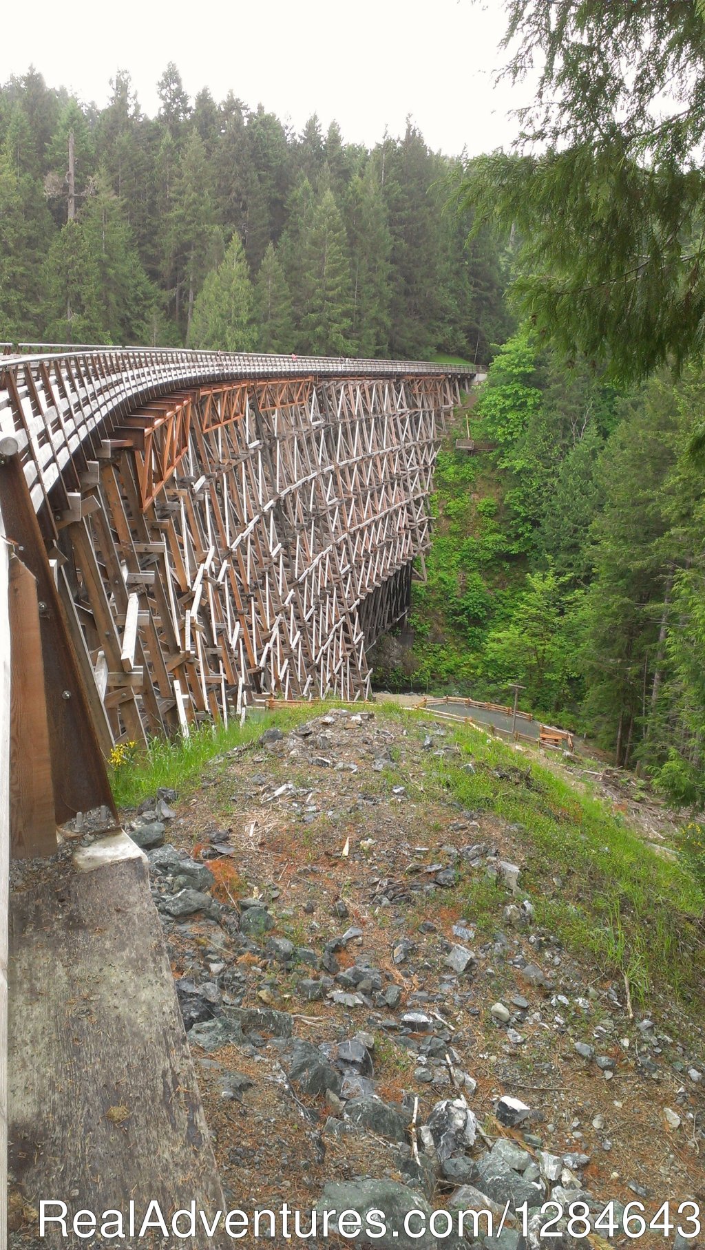 The Kinsol Trestle | Surfside Adventure Tours-Private Tour Guide | Image #15/26 | 