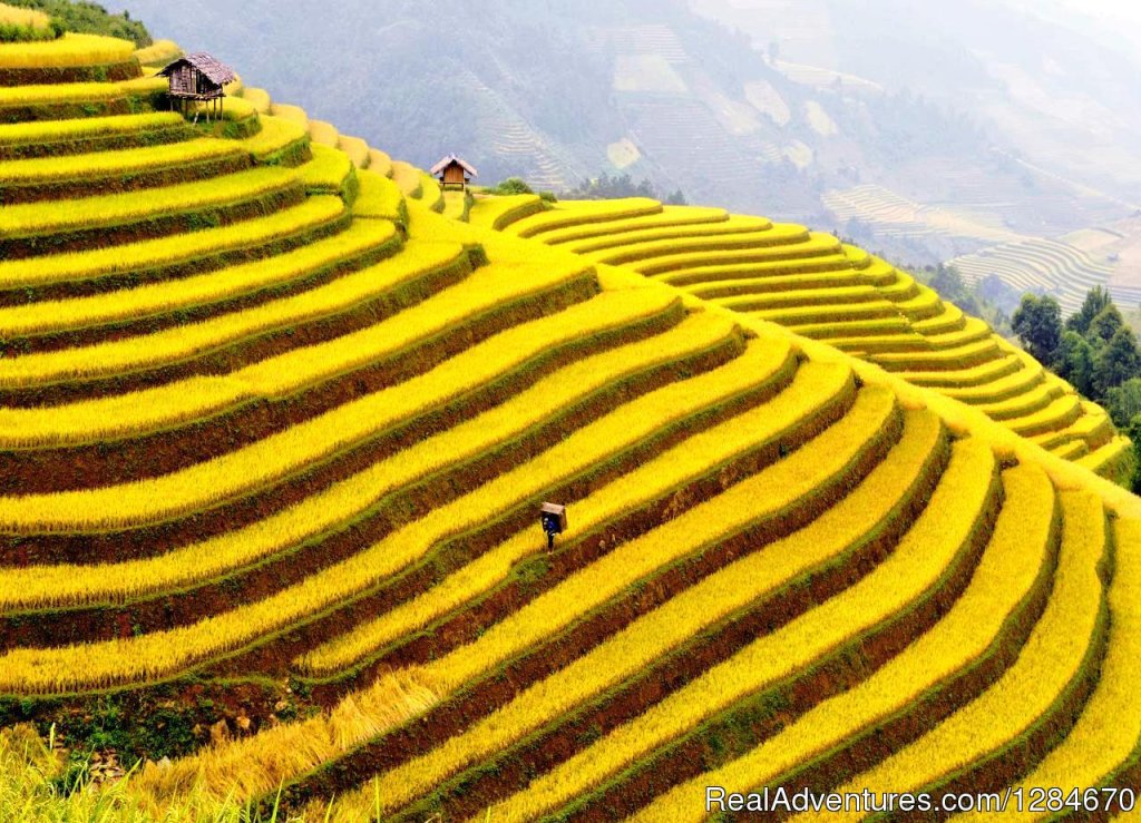 Ha Giang field | Best Of Vietnam Tours 12 Days | Hanoi, Viet Nam | Sight-Seeing Tours | Image #1/3 | 