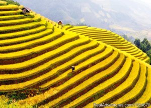 Best Of Vietnam Tours 12 Days | Hanoi, Viet Nam | Sight-Seeing Tours