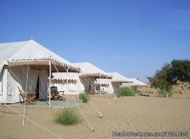 Adventure Camp | Pushkar Adventure Desert Camp | Ajmer, India | Camel Riding | Image #1/7 | 