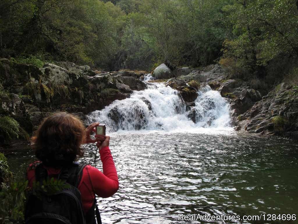 Horseback riding in Peneda Geres National Park | Image #4/18 | 