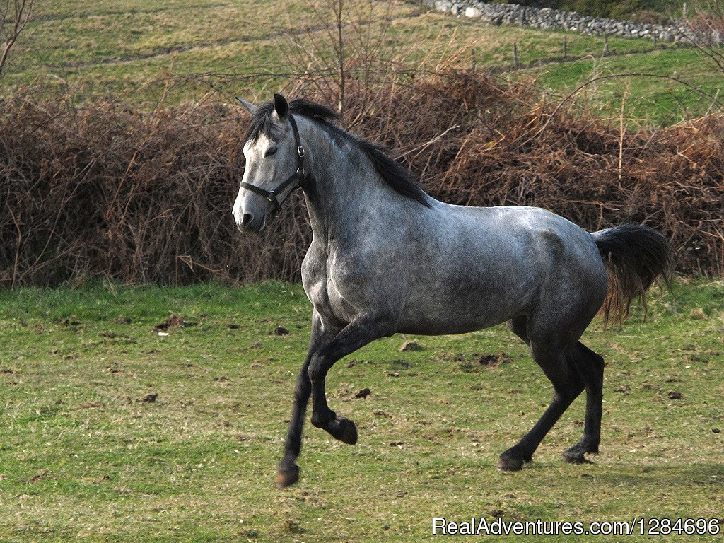 Horseback riding in Peneda Geres National Park | Image #14/18 | 