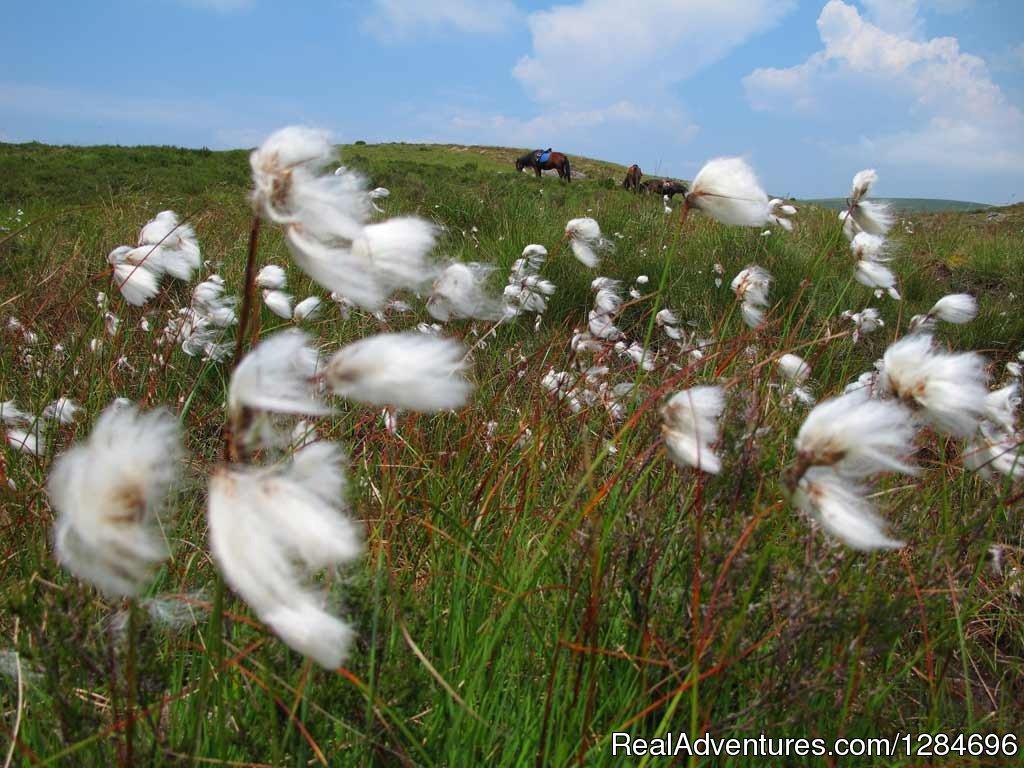 Horseback riding in Peneda Geres National Park | Image #16/18 | 