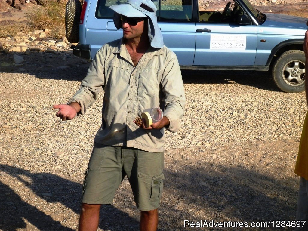 Desert activities in Mitzpe Ramon | Image #2/4 | 