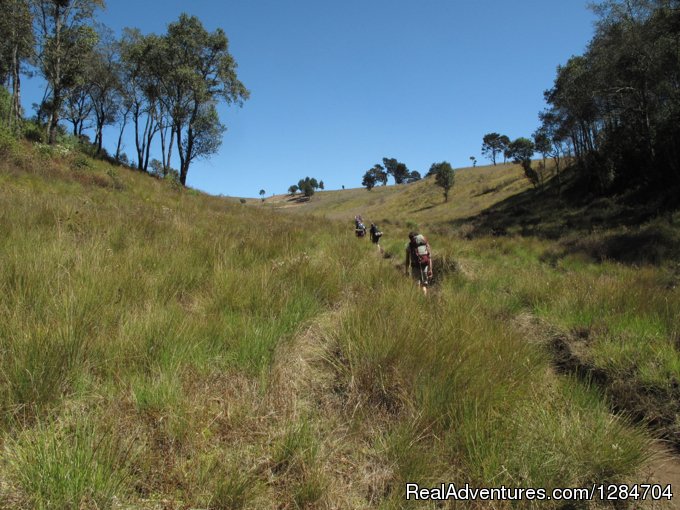 Xela to Atitlan Lake/ Trekking | Image #2/4 | 